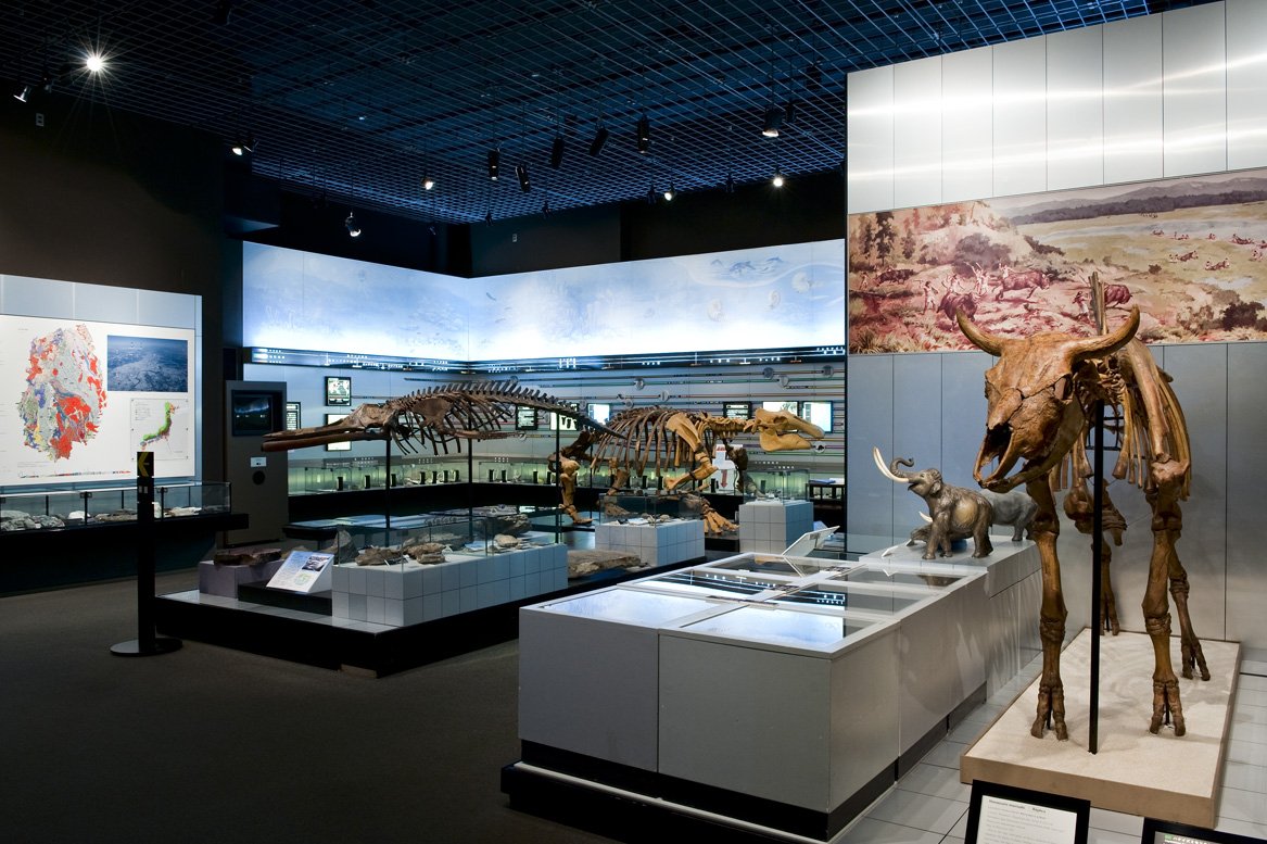 🏛️ 이와테 현립 박물관 (이와테 켄리츠 하쿠부츠칸) 이미지 4